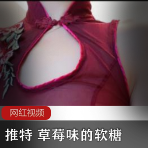 Twitter模特（草莓味的软糖）+水漫金山写真集，玫红色旗袍展示修长美腿【816+MB】