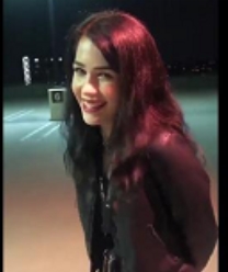 多处收藏筛选的精品抖音合集968V-4.4G