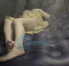 自行打包海角fengrufeitun的姐姐合集4V720M百度盘