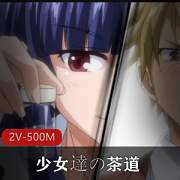 岛国出品：少女达の茶道，时长16分钟，2V，500M，资源丰富，小编强烈推荐