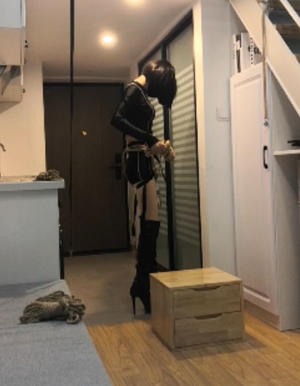 可爱动物主题捆绑失眠视频