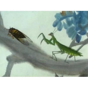 《螳螂捕蝉》剪纸动画：传统与智慧共融视频大小/数量