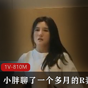 小胖R妻自拍征服小姐姐视频精选