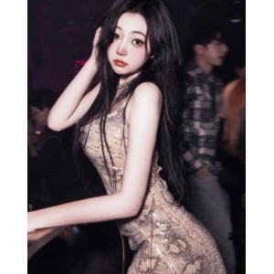 《文森特：自行打包》-优质女神的银婊风格视频