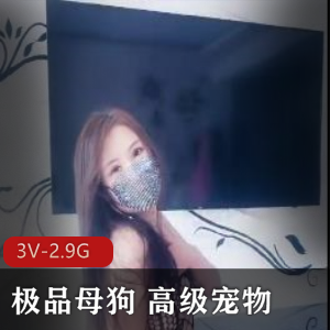 震惊！高级宠物失眠跪舔饮尿教育，3V-2.9G视频曝光