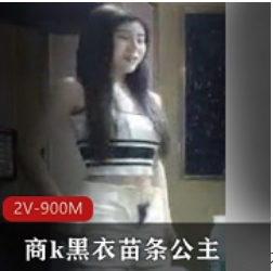 黑衣苗条公主续集