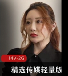 精选传媒轻量版护士韩国保安花家前女友14部14V-2G