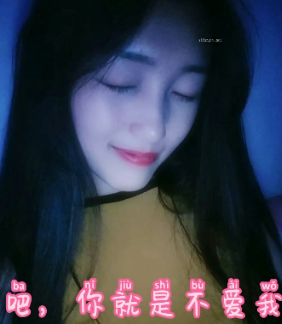 抖音风合集:视频加字幕,磁力链接下载,精彩内容不容错过