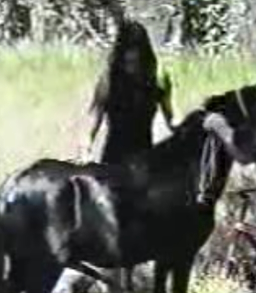 27G视频马合集，免费价分享，解压密码留言获取