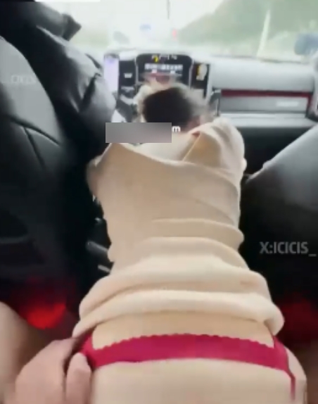 反差小狗幼师Icicis视图合集48P58V7.15G，百度盘分享