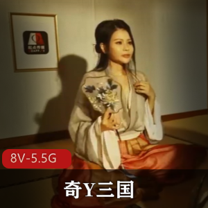 起点传媒创意奇Y三国系列最新合集8V5.55G，独特视角再现经典战役