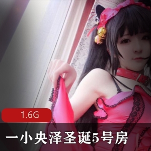 高颜值合集+圣诞5号房+火爆女神+一小央泽+视频数量不详+1.6G+包含多部佳作