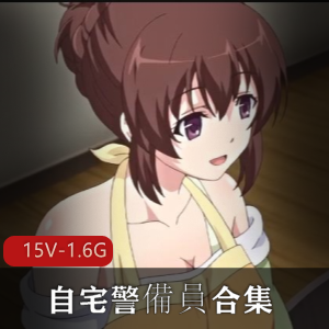 自宅警備员合集（第一部14个版本+第二部16）15V1.6G，内容火热，慎拍！