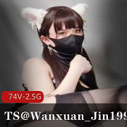 推特Wanxuan_Jin1999唯美伪街合集74V2.5G刑具控福利