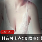 宅男必备私房小蝶高能自剪32部25G深夜必冲