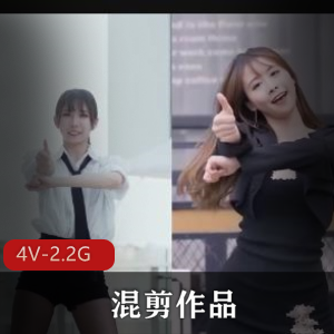 B站舞蹈区PMV剪辑抖N舞合集4部Tiktok混剪2.2G绝了